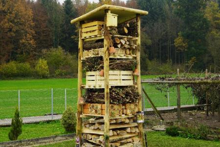 Ansicht Lebensturm Inwil.jpg