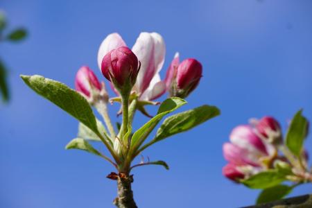 Frühling Archehof 2023 05.JPG