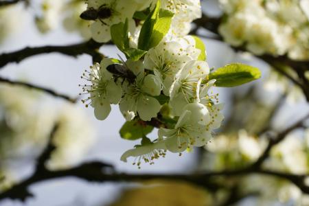 Frühling Archehof 2023 07.JPG