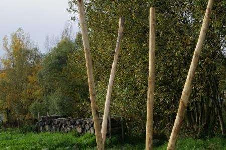 Gisikon Lebensturm Archehof