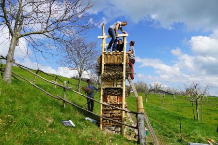 Lebensturm Alectron Aufrichte.JPG