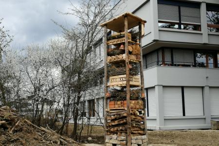 Lebensturm Kanti Beromünster Schulgebäude.jpg