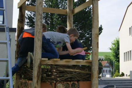 Lebensturm Neudorf Schule Bau Archehof Neuhof