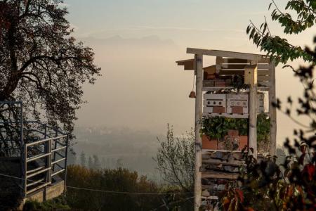Lebensturm Prototyp 2 Archehof Neuhof
