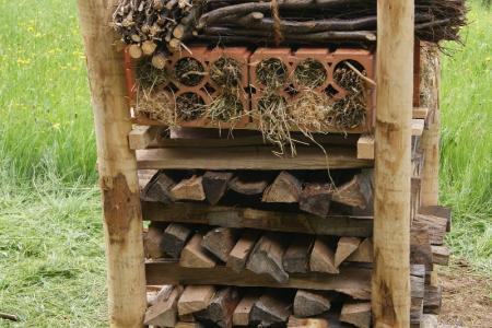 Lebensturm Schlossrued Archehof Neuhof